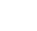 Digital Aerolus Logo